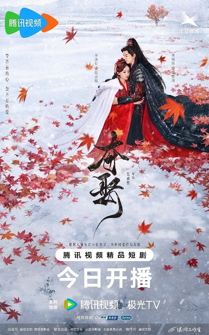 夺娶 2025海报